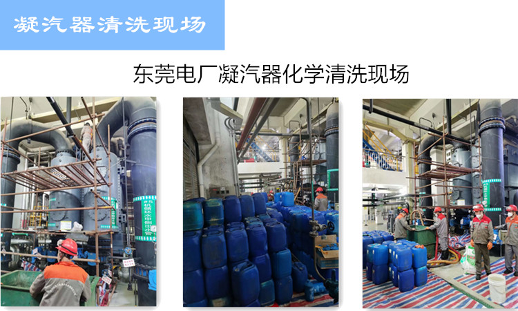 凝汽器香蕉视频APP免费现场
